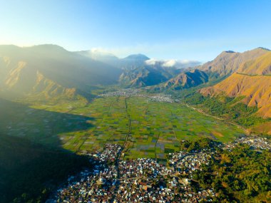 Yukarıdan güzel pirinç tarlaları ve yeşil tepeler görünüyor, pirinç tarlalarında hava tarımı, Sianjur Mulamula Samosir Toba 'da sarı pirinç tarlası