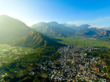 Yukarıdan güzel pirinç tarlaları ve yeşil tepeler görünüyor, pirinç tarlalarında hava tarımı, Sianjur Mulamula Samosir Toba 'da sarı pirinç tarlası