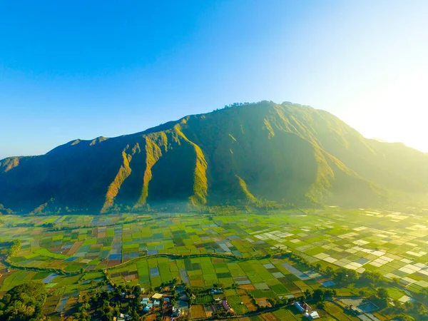 Bella Risaie Verdi Colline Vista Dall Alto Agricoltura Aerea Risaie — Foto Stock