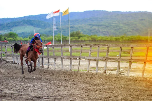 Sumbawa Indonésie Juin 2020 Main Jaran Est Une Course Chevaux — Photo