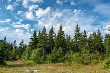 Güney Ural, Ulusal doğa parkı Taganay. Taganay dağ sırtı. Kaya