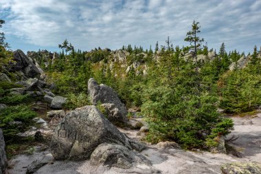 gökyüzü, taşlar ve ağaçlar. vahşi ormanın ortasında