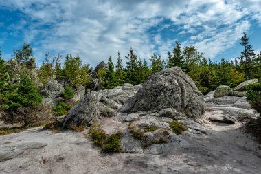 gökyüzü, taşlar ve ağaçlar. vahşi ormanın ortasında