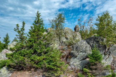 gökyüzü, taşlar ve ağaçlar. vahşi ormanın ortasında