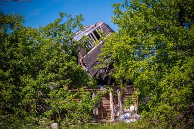 Ormanda terk edilmiş bir ev.