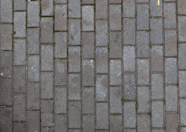 Seamless Background Texture Gray Brick Wall — Stock Photo, Image