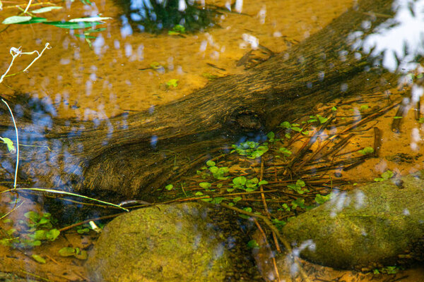 big stone and sand under water in summer day