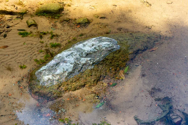 Büyük taş ve kum yaz günü suyun altında.