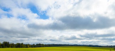 Yeşil arazi ve bulutlu mavi gökyüzü. Arkada bir orman var..
