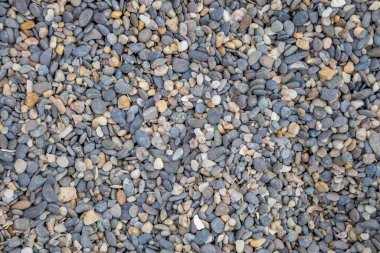 Sahilde çakıl taşı dokusu. gri-beyaz taşlar