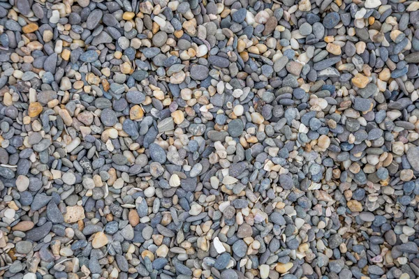 Sahilde çakıl taşı dokusu. gri-beyaz taşlar