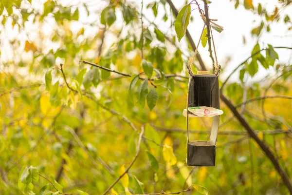 Bir Ağaçta Tek Başına Asılı Duran Kuş Yemi — Stok fotoğraf