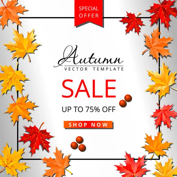 Autumn Sale Instagram Template Maple Leaves Special Offer Layout White — Stock Vector