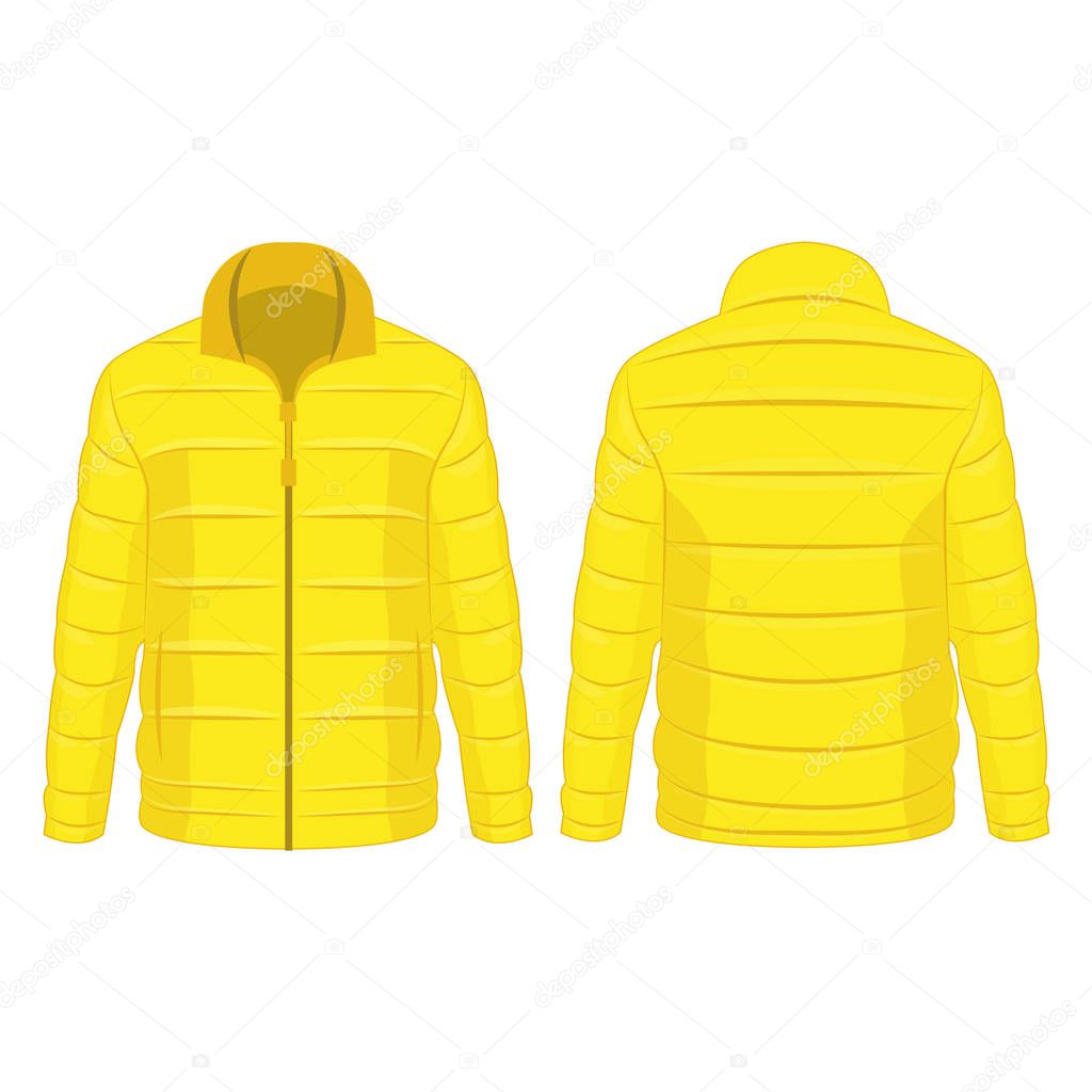 Yellow winter zipped down jacket isolated vector on the white background