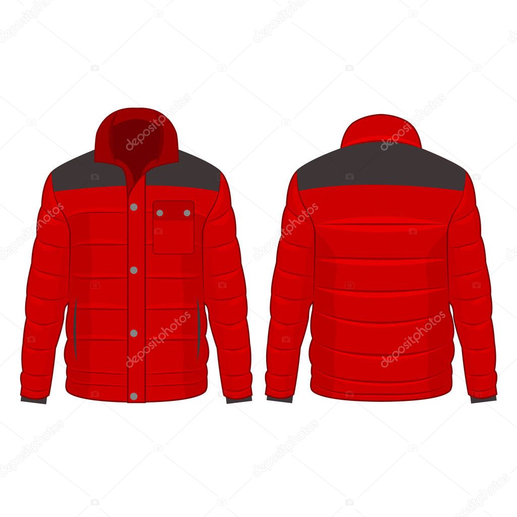 Red winter down jacket with buttons isolated vector on the white background