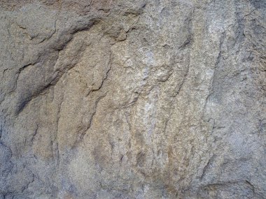 Gri yosunlu taş yüzey. Doğal taşın pürüzsüz dokusu