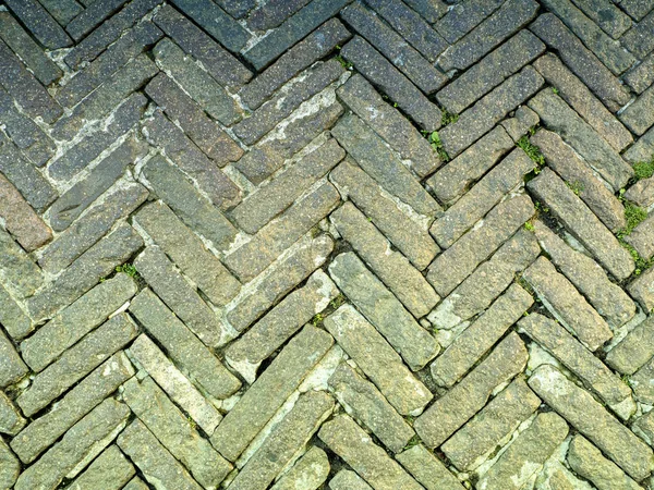 Background from old colored pavers — Stock Photo, Image