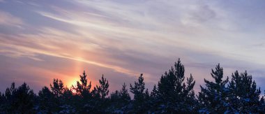 Yumuşak bir şafak, gökyüzünü pembe-mavi tonlarda boyadı. Renkli doğal arkaplan