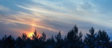 Bir güneş ışığı sabah gökyüzünü aydınlattı.