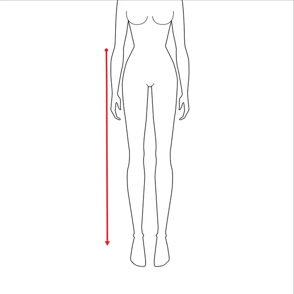 Женская мода измерений. — стоковый вектор