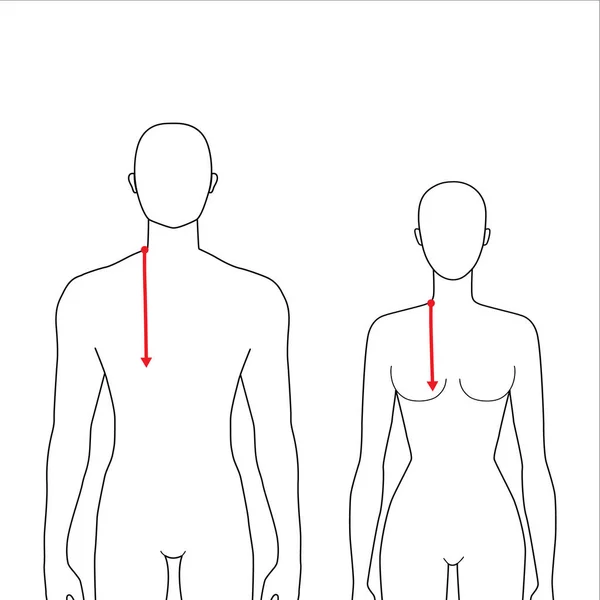 女性と男性の測定方法. — ストックベクタ