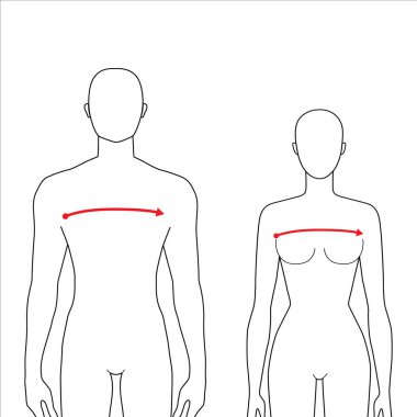 Kadın ve erkek ölçüleri moda.