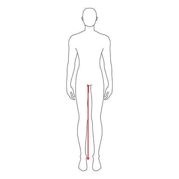 Hommes mesures mode. — Image vectorielle