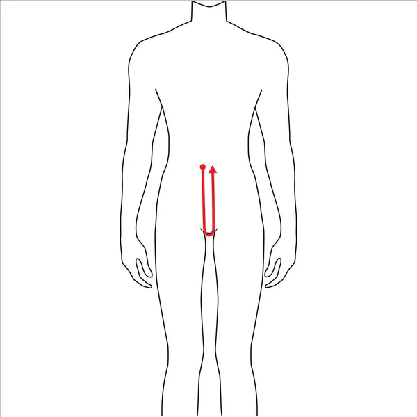 Mannen metingen mode. — Stockvector