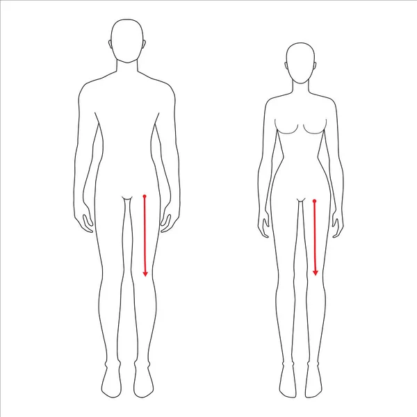 Vrouwen en mannen meten mode. — Stockvector