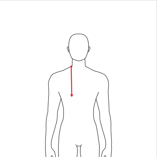 Mannen metingen mode. — Stockvector