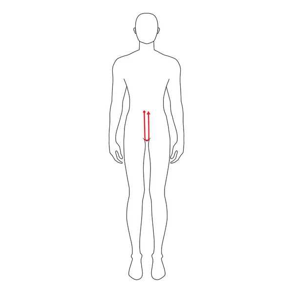 Mannen metingen mode. — Stockvector