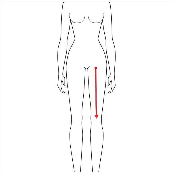 Femmes mesures mode. — Image vectorielle