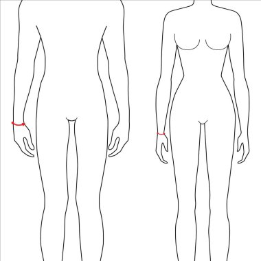 Kadın ve erkek ölçüleri moda.