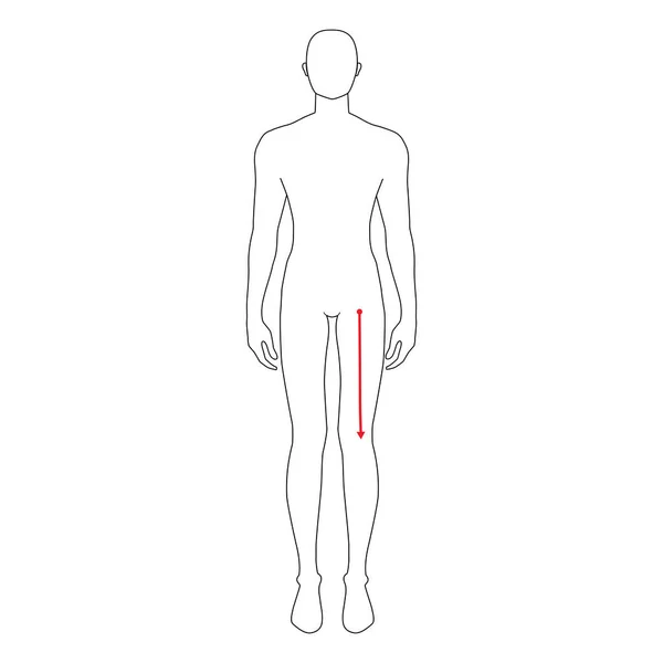 Hommes mesures mode. — Image vectorielle