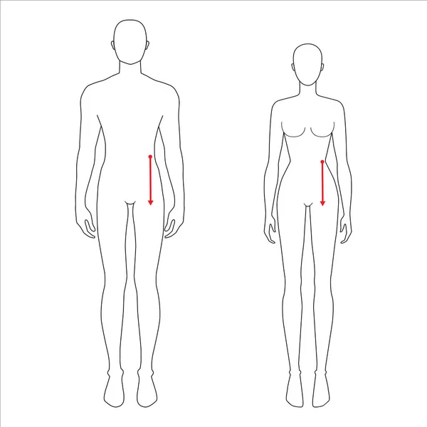 Perempuan dan laki-laki mengukur mode. - Stok Vektor