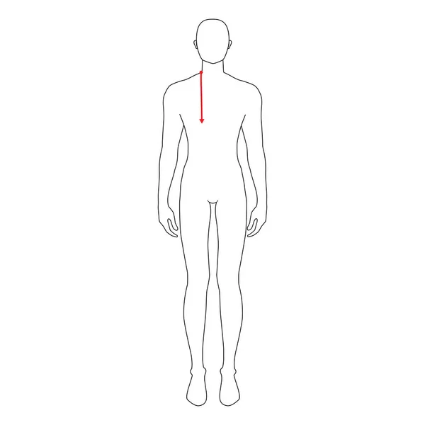 Mannen metingen mode. — Stockvector