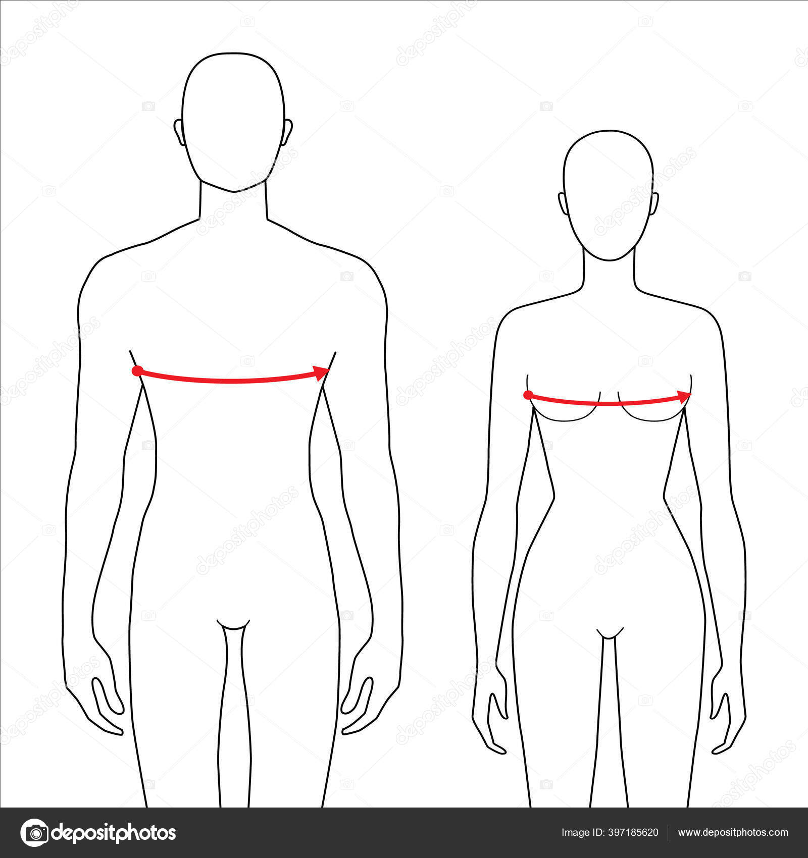 Women and men measurements fashion. Stock Vector by