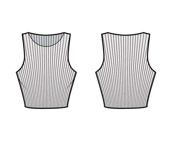 Camiseta de algodón acanalada recortada tanque ilustración técnica de moda con ajuste delgado, longitud de la cintura, cuello redondo. Parte superior plana — Archivo Imágenes Vectoriales