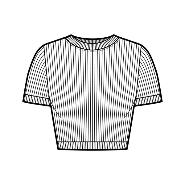 Camiseta de algodón-jersey acanalada ilustración técnica de moda con cuello redondo, mangas cortas, ropa interior ajustada — Vector de stock