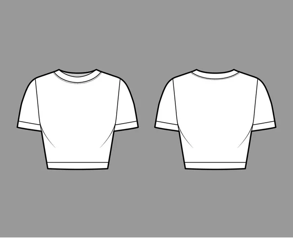 Camiseta de punto de algodón recortado ilustración técnica de moda con cuello redondo, mangas cortas, ajuste cercano. Ropa plana — Vector de stock