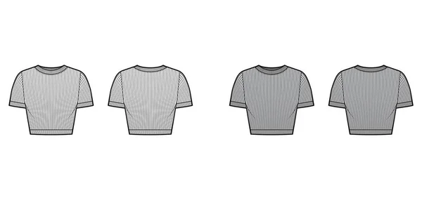 Žebrované bavlněné tričko technické módní ilustrace s výstřihovým hrdlem, krátké rukávy, přiléhavé oblečení — Stockový vektor
