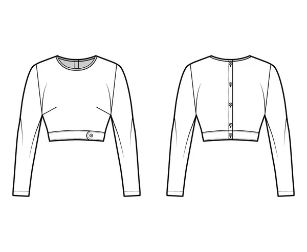 スリムフィットとバスト作物トップ技術的なファッションイラストの下で、クルーネックライン、バックボタン締結、長い袖. — ストックベクタ