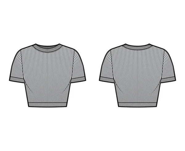 リブ編みのクロップドコットンジャージーTシャツ技術的なファッションイラストでスクープネック、半袖、近いフィット感外耳 — ストックベクタ