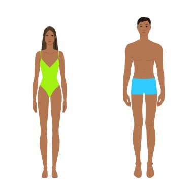 Erkek ve kadın vücut desenleri ön manzara, kahverengi bej ten rengi renk çeşitliliği erkek, kadın. Moda, terzilik, giysi provası, orantı, ölçü sanatları için düz vektör anatomisi modeli