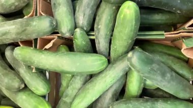 Yukarıdan görülen olgun salatalıklar manavdaki karton kutularda sergilenen salatalıkların izini sürüyorlar.