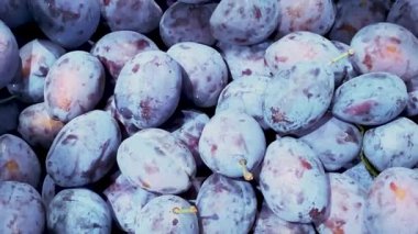 Yukarıdan görülen mavi erikler, manavdaki kasalarda sergilenen eriklerin üzerindeki iğne izleri.