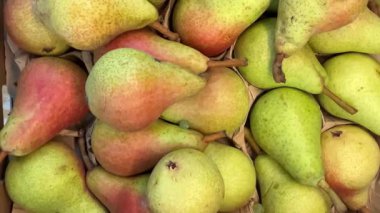 Carmen 'in armutları, manavda karton kutularda sergilenen armutların üzerinde görüldü.