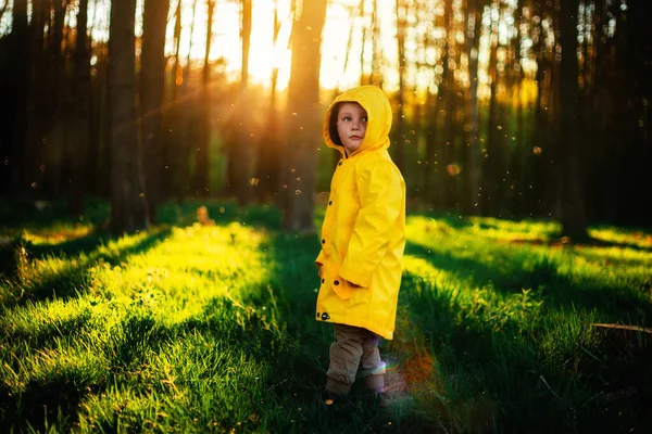 Liten Pojke Gul Jacka Vid Solnedgången Skogen Naturvårds Koncept Hand — Stockfoto