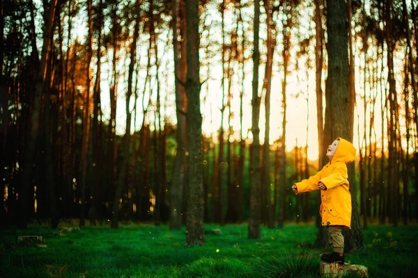 Rapazinho Casaco Amarelo Pôr Sol Floresta Conceito Cuidado Natureza Cuide — Fotografia de Stock