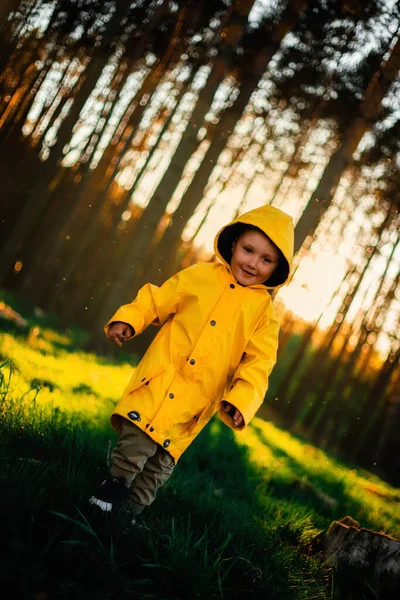Rapazinho Casaco Amarelo Pôr Sol Floresta Conceito Cuidado Natureza Cuide — Fotografia de Stock